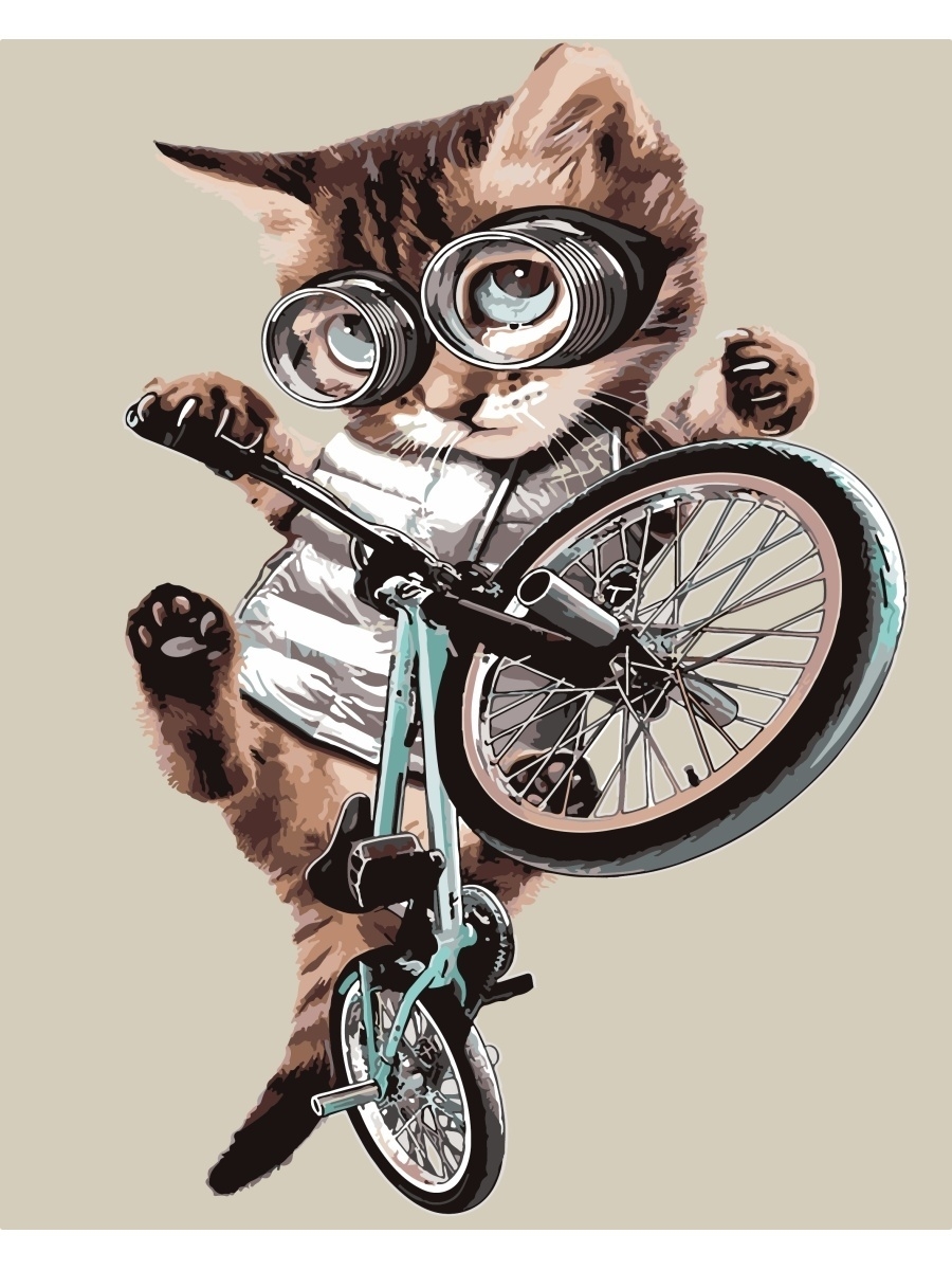 Кот велосипедист