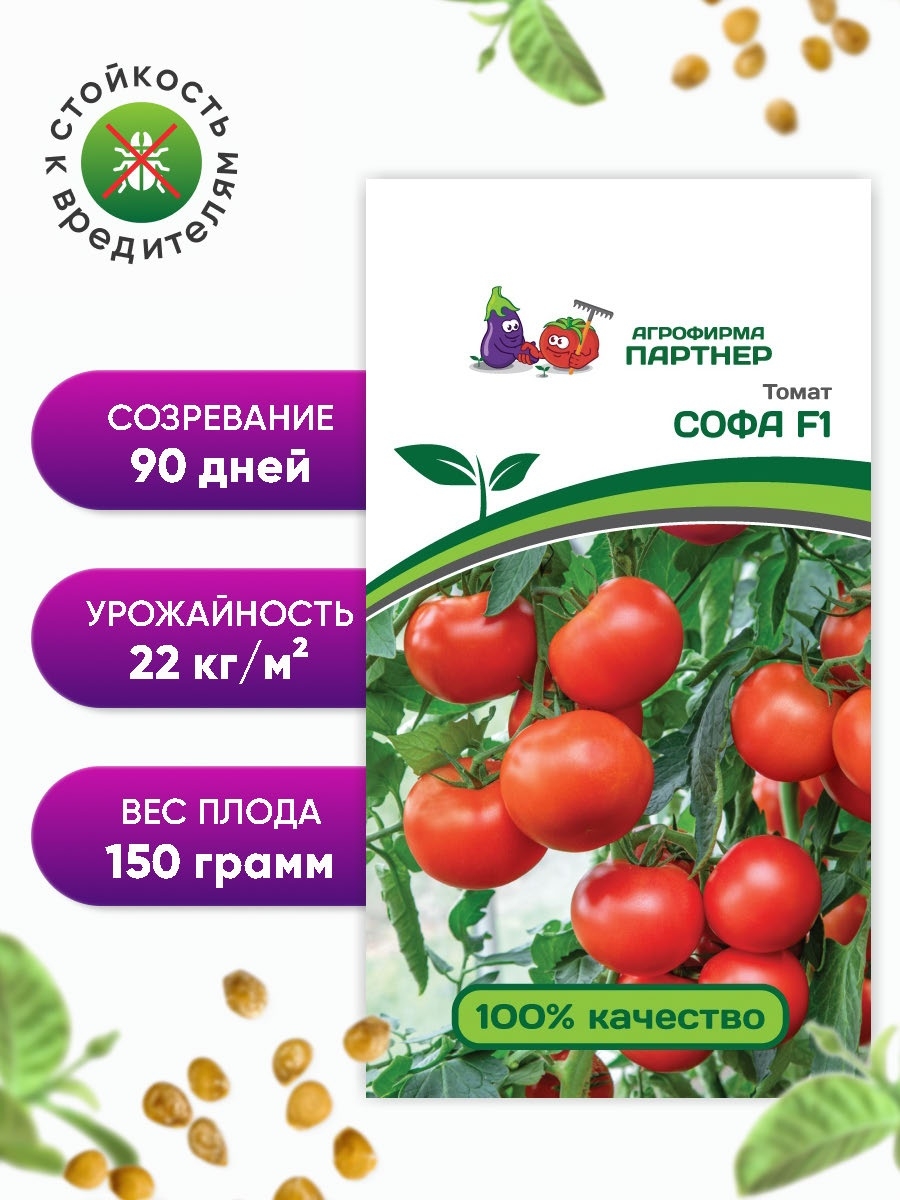 Семена томат софа f1