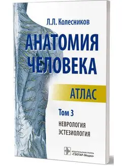 Анатомия человека. Атлас. В 3 т. Т.3 Неврология