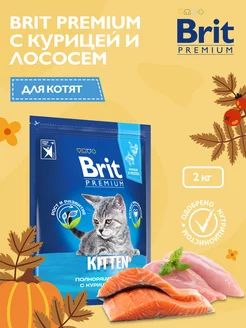 Корм сухой для котят с курицей и лососем Cat Kitten, 2 кг