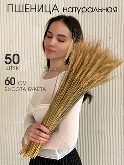 Сухоцветы пшеница 50 шт