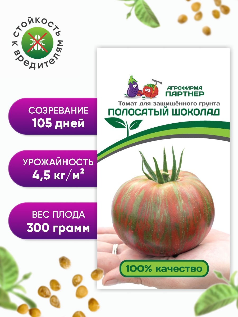 Томат полосатый шоколад урожайность. Семена партнер полосатый шоколад. Агрофирма партнер полосатый шоколад. Томат полосатый шоколад от партнера. Томаты фирмы партнер полосатый шоколад.