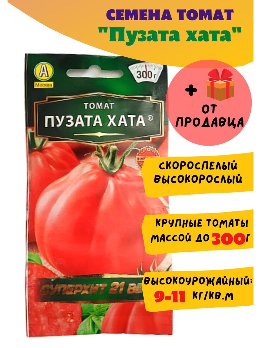 помидоры пузата хата фото