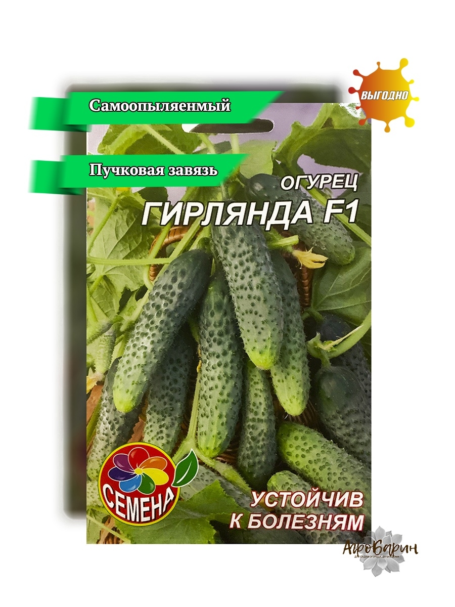 Огурцы гирлянда