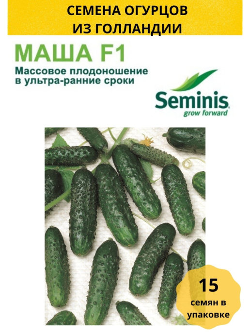 Огурец Маша f1 Seminis