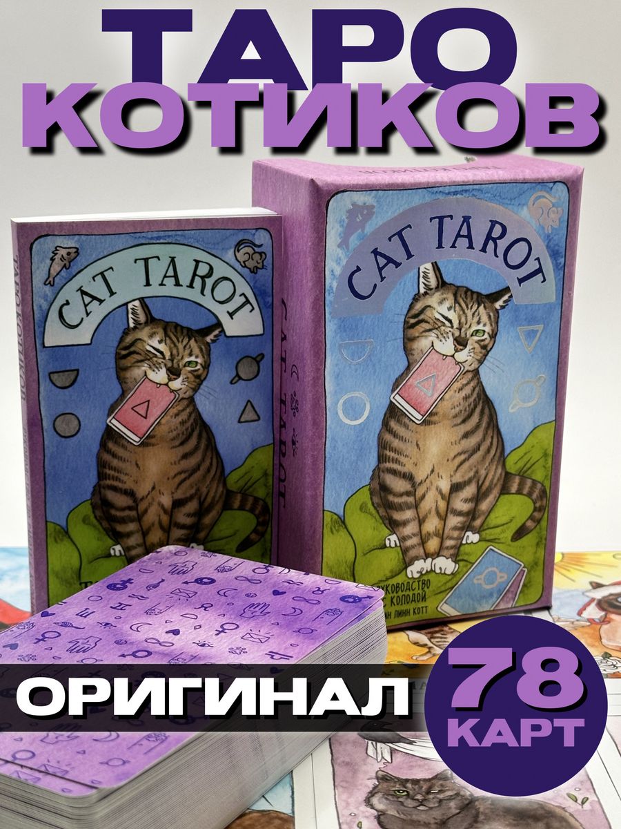 Таро котиков