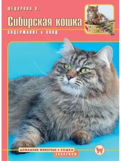 Сибирская кошка. Содержание и уход