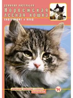 Норвежская лесная кошка