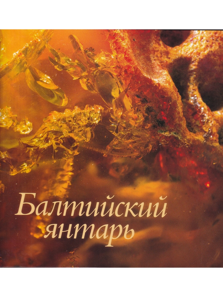 И п верхов. Альбом янтарь. Янтарь Издательство Тюмень. Александр Проханов: ЦДЛ. Оплавленный янтарь. Сокровища Костромы. Альбом.