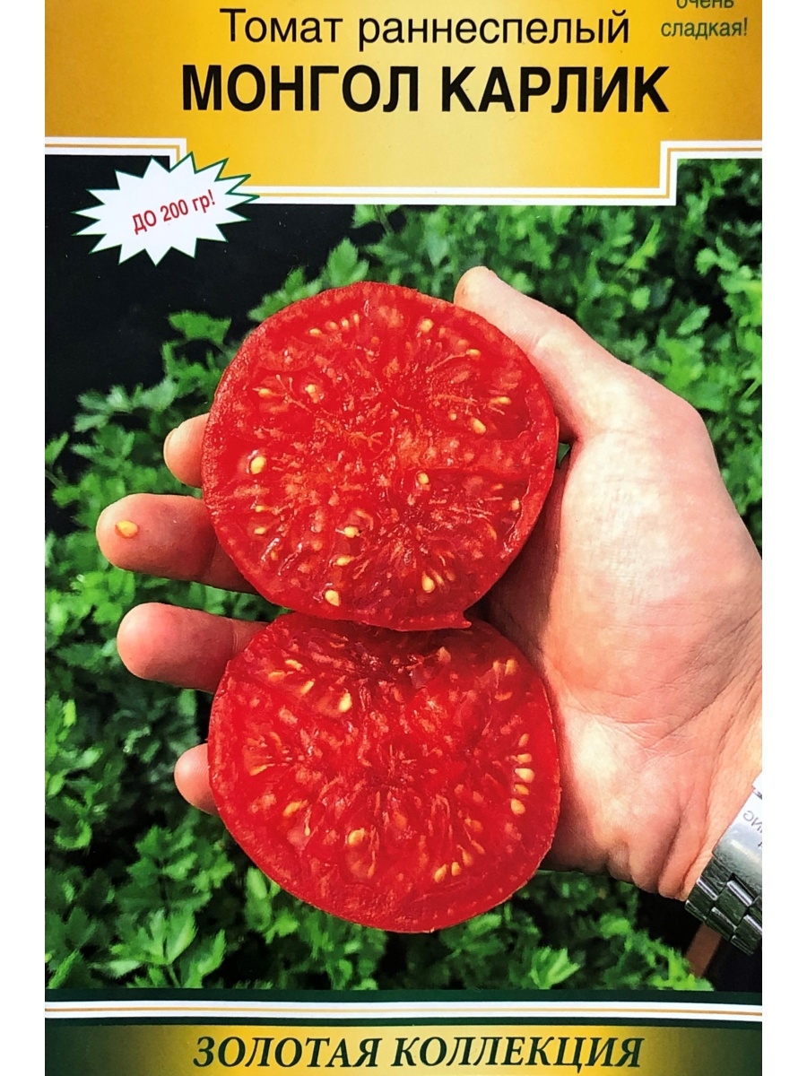 Семена семена помидоры Монгол карлик