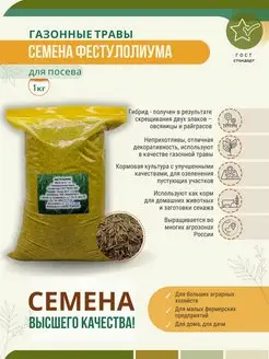 Семена Фестулолиума 1 кг газонная трава