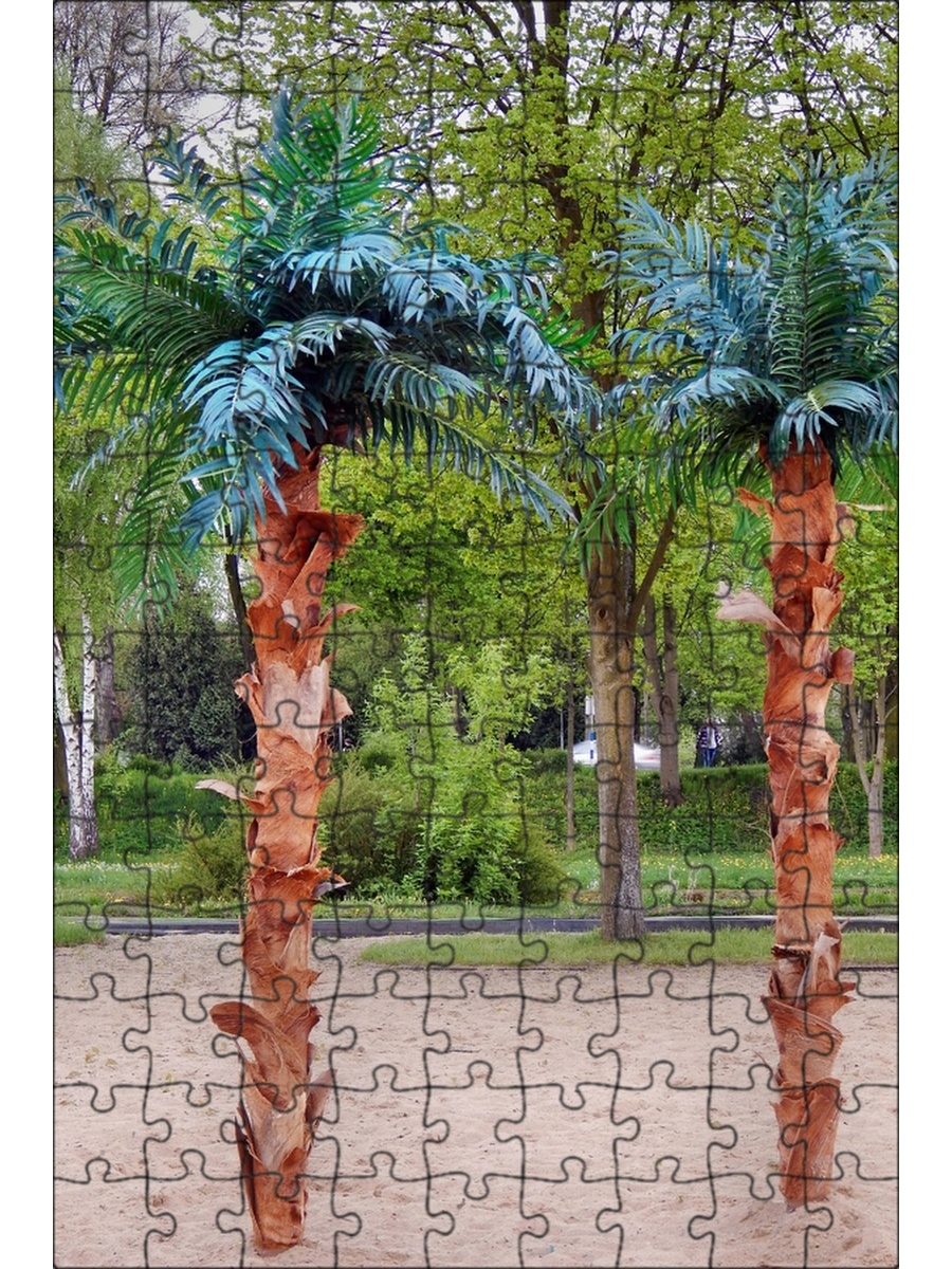 Пальма в скульптура