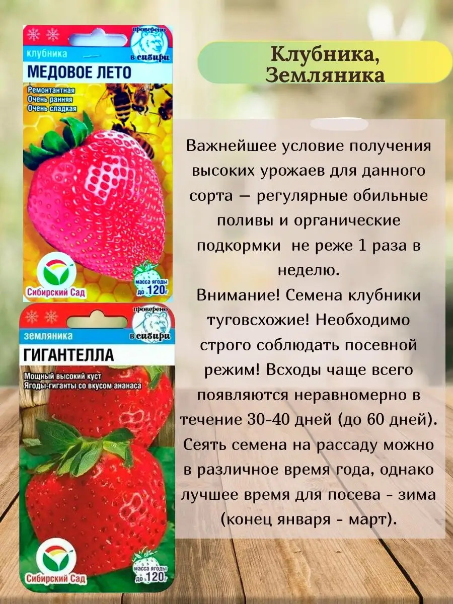 Семена Клубники Земляники крупноплодной ягоды для огорода Сибирский сад61497233 купить в интернет-магазине Wildberries