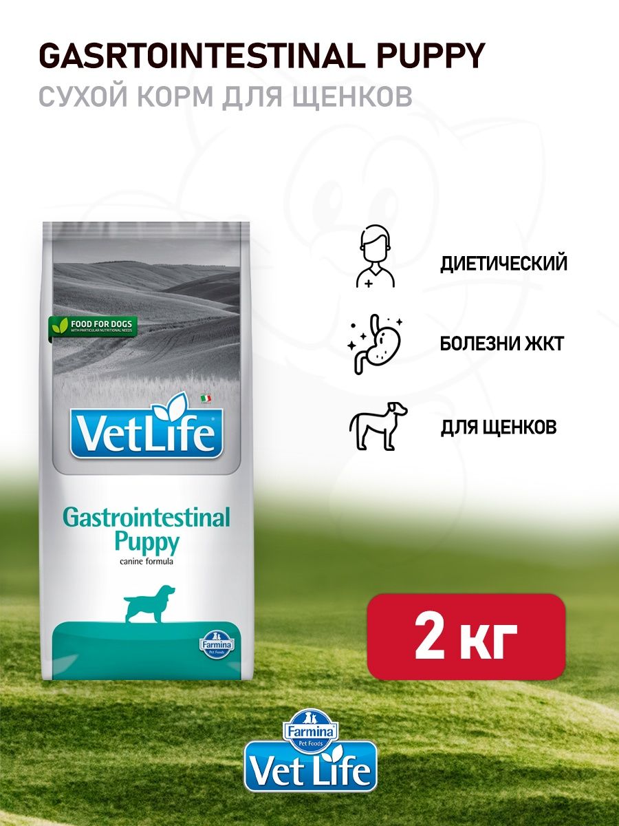 Корм farmina vet life gastrointestinal. Gastrointestinal Puppy Farmina. Vet Life Gastrointestinal. Gastrointestinal Farmina консистенция. Гастроинтестинал Паппи для щенков.