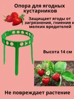 Опора для клубники и кустов