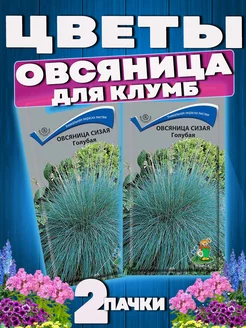 Семена цветов Овсяница Сизая Голубая для газона клумб сада