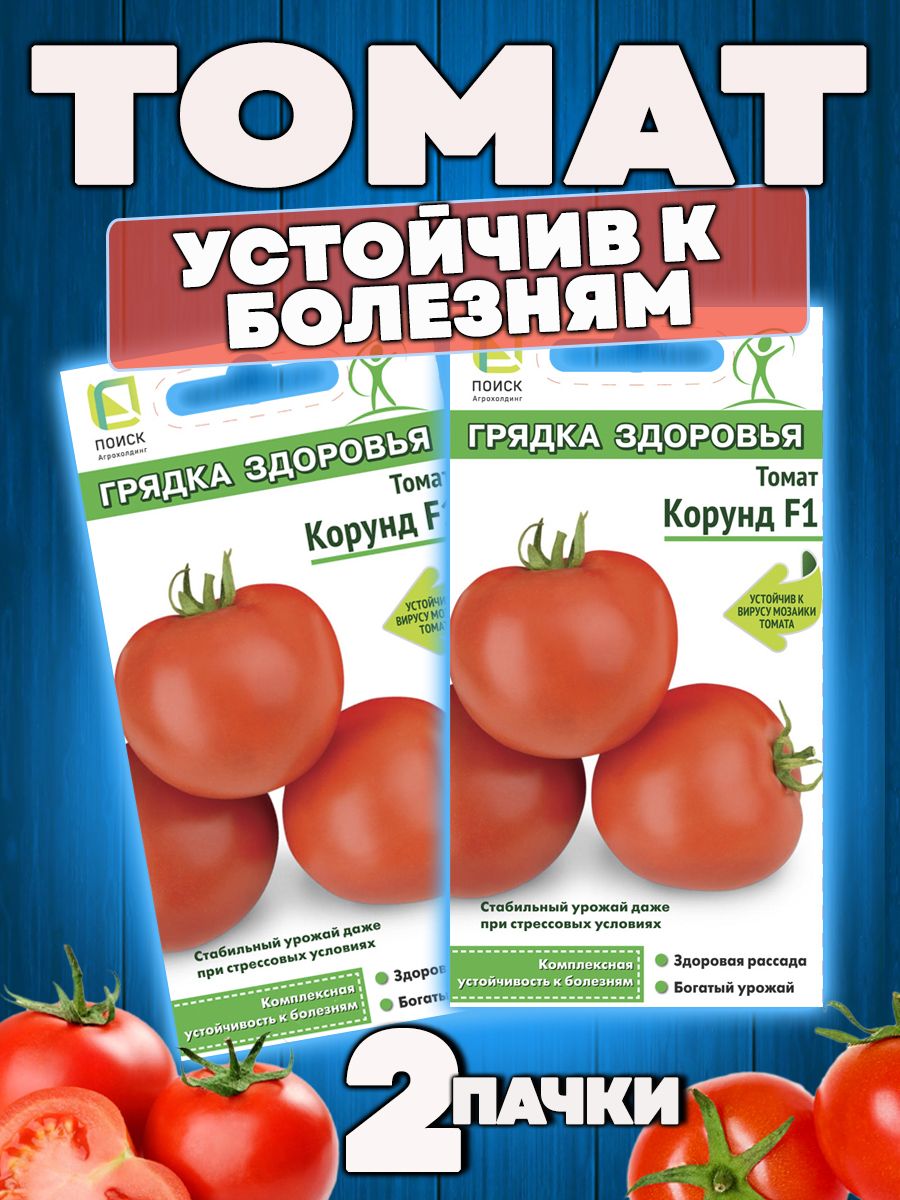 томаты алтайские описание сорта фото отзывы