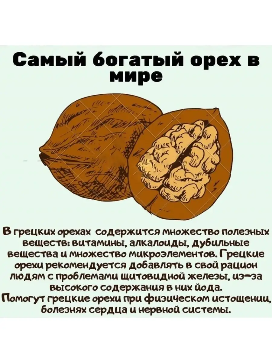 Что содержится в грецких. Что содержится в грецких