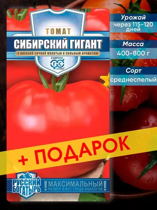 Томат царь колокол описание