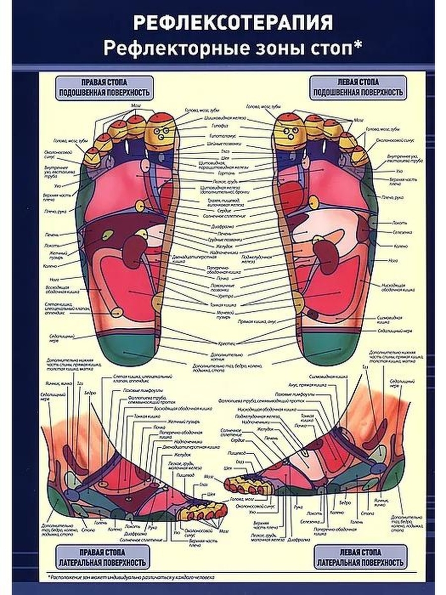 Рефлекторная карта стопы инструкция кратко