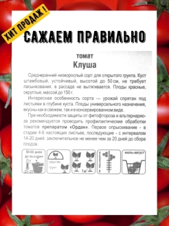 Томат клуша схема посадки