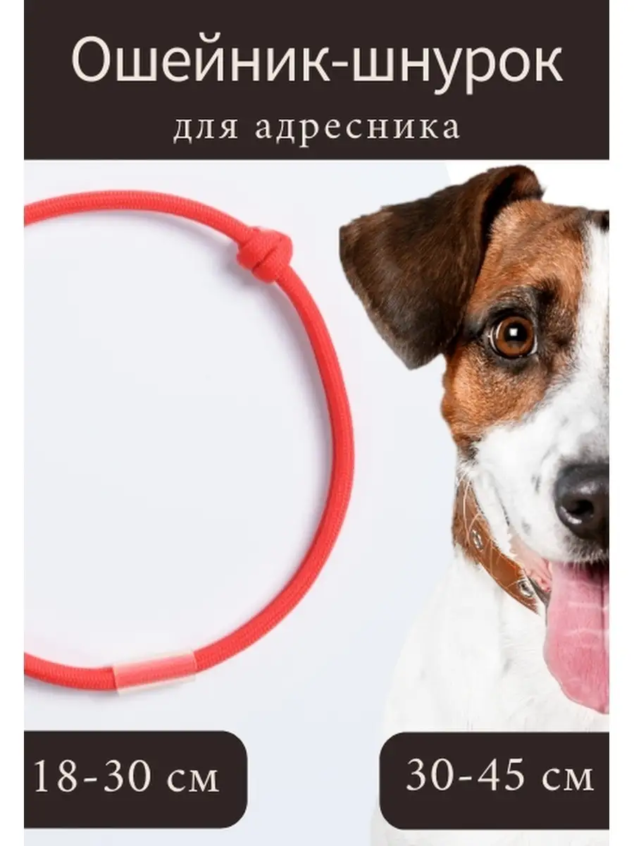 Ошейник - шнурок для адресника регулируемый для собак и кошек MaMaLu