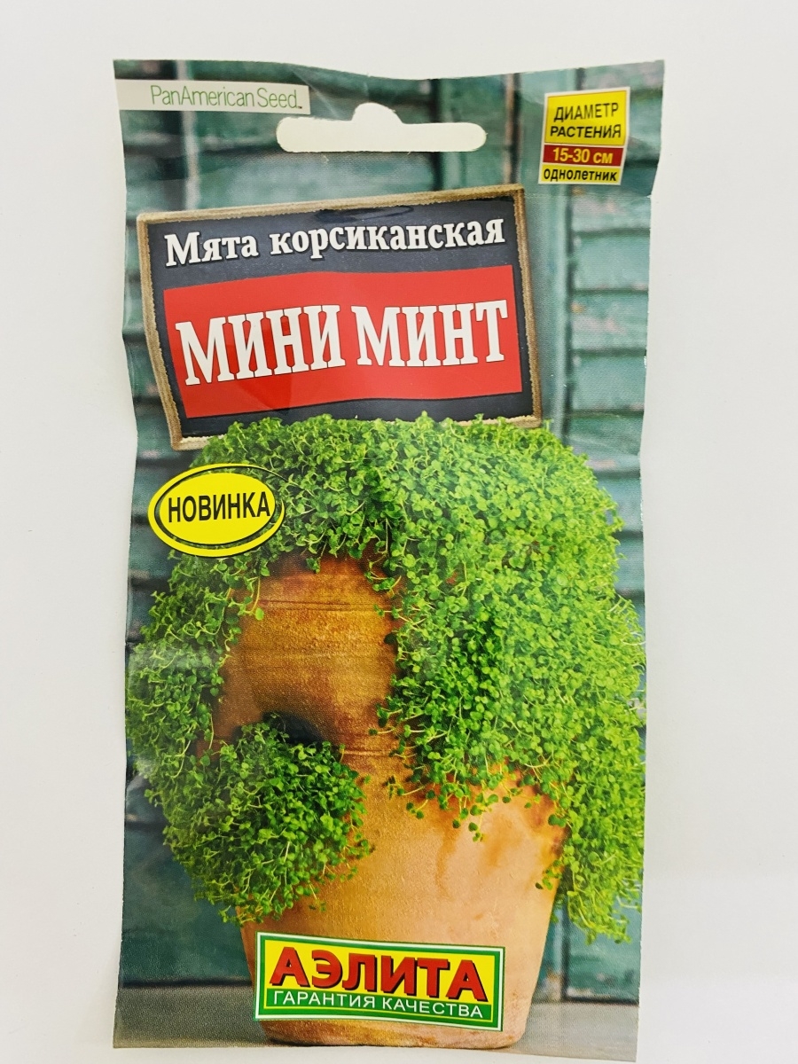 Мята миниминт. Мята Миниминт Корсиканская. Умка семена.