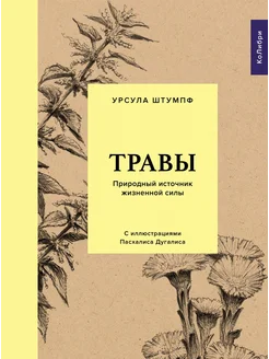 Травы. Природный источник жизненной силы