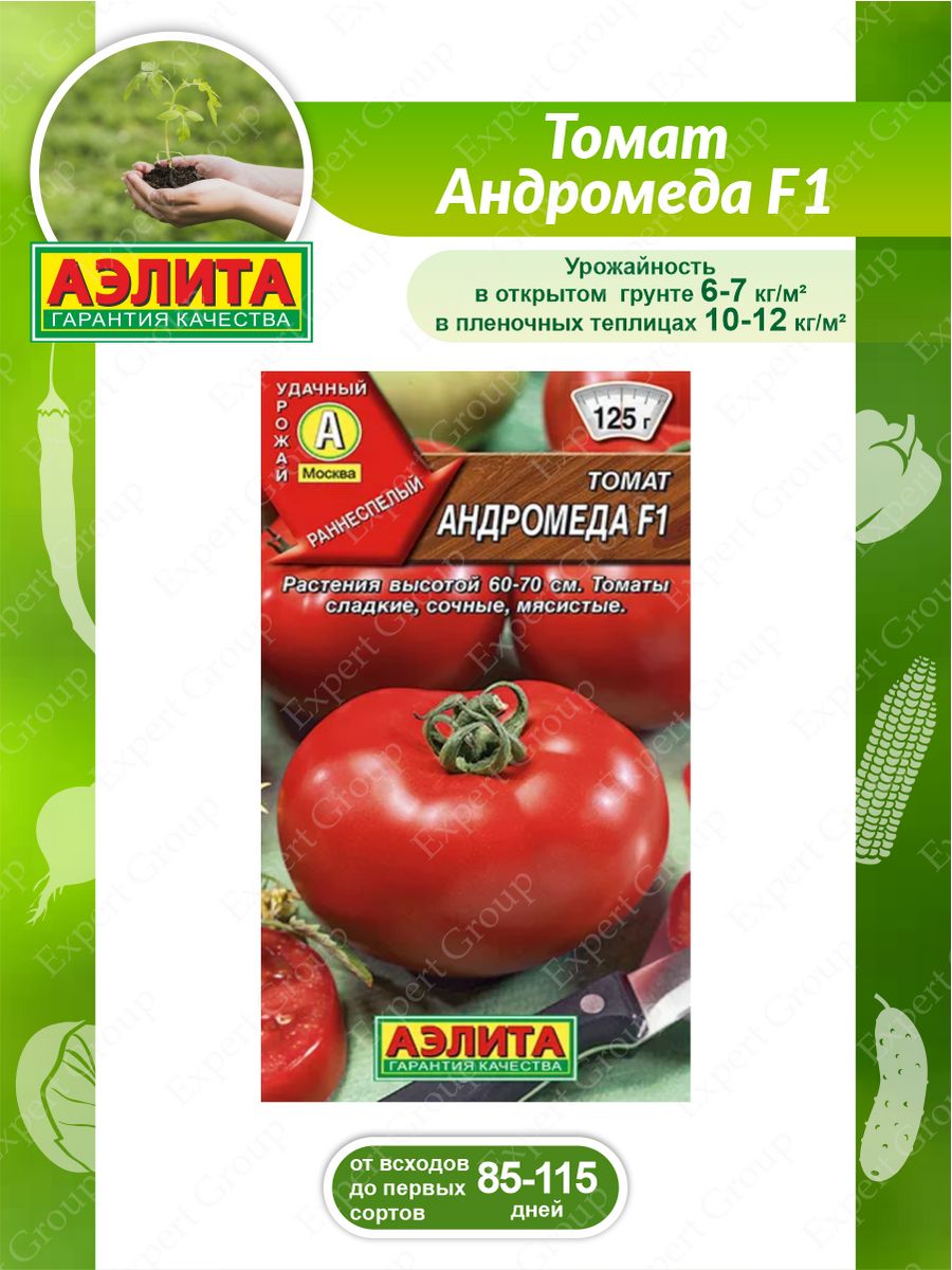 Томат Алтайский букет f1 описание. Семена помидор Алтайской селекции. Урожайность томата алтайский сахарный
