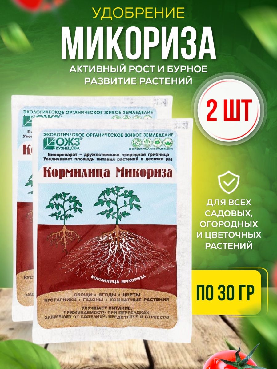 Микориза удобрение применение. Микориза "БАШИНКОМ" кормилица 30г. Кормилица микориза сайт производителя. Микориза удобрение. Микориза для рассады.