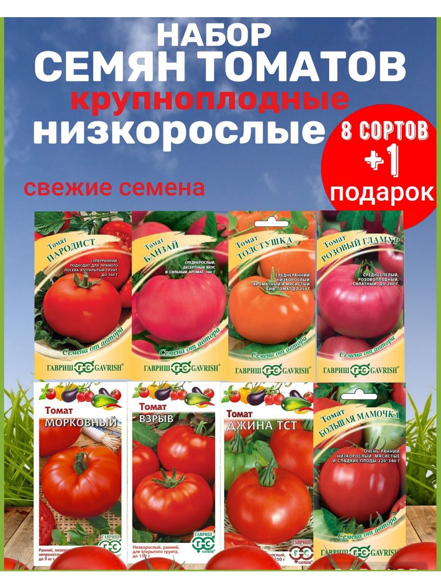 Крупноплодные томаты фирмы Гавриш низкорослые