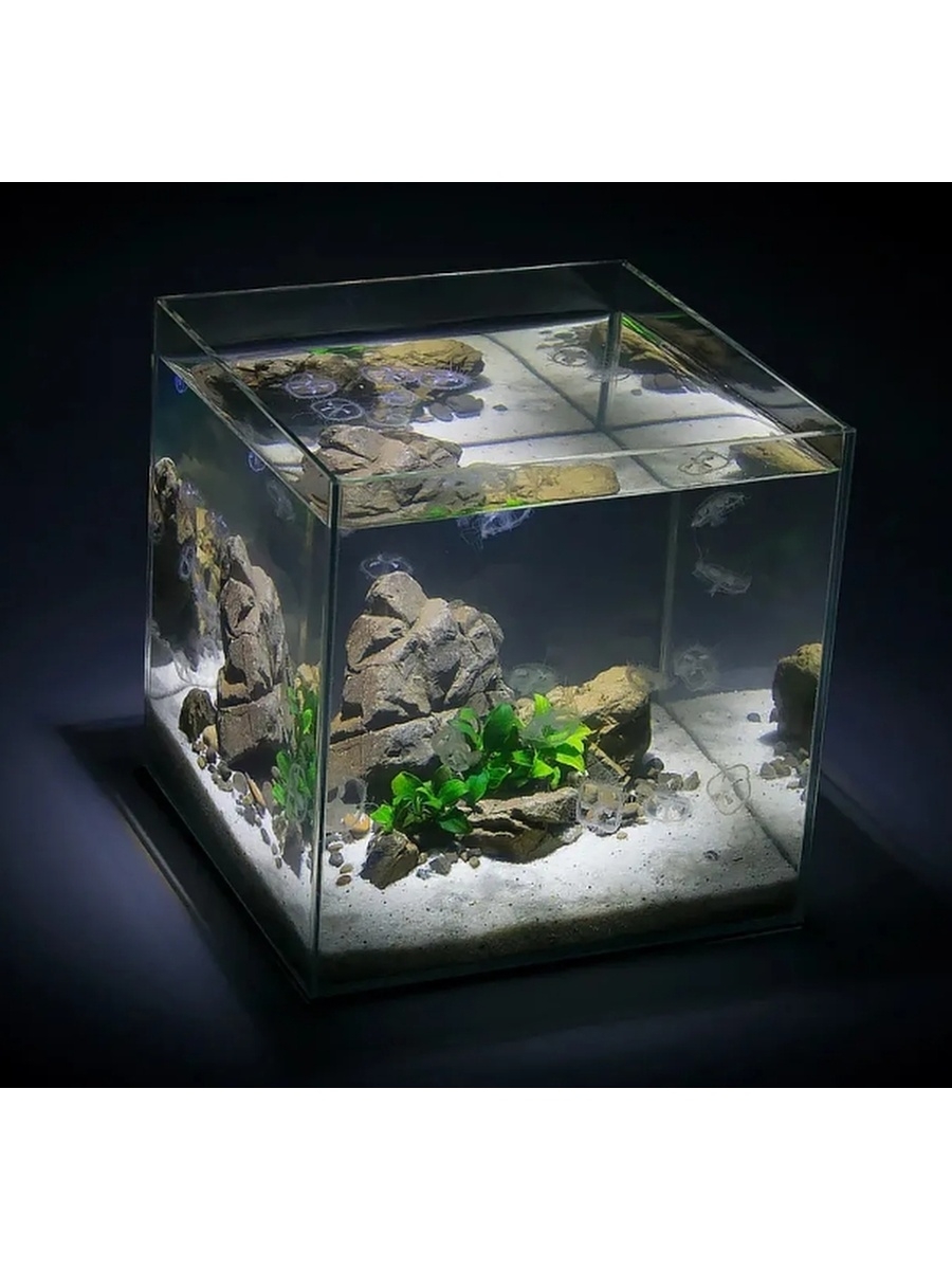 аквариум куб