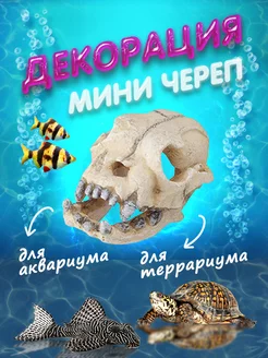 Декорация для аквариума "Мини череп"