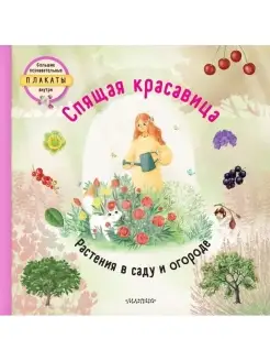 Спящая красавица