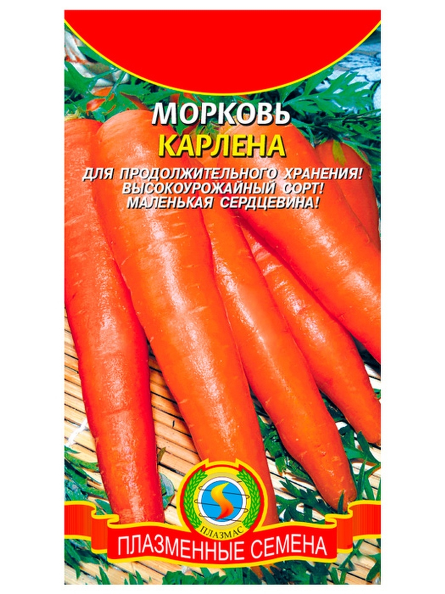 Морковь Кантербюри f1