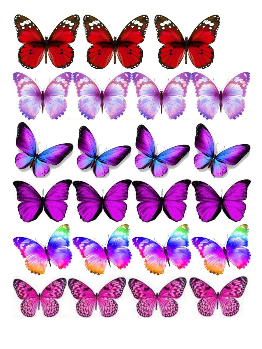 Бабочки для торта картинки для печати. Бабочки цветные. Бабочки сахарная печать. Вафельные бабочки. Вафельная картинка бабочки.