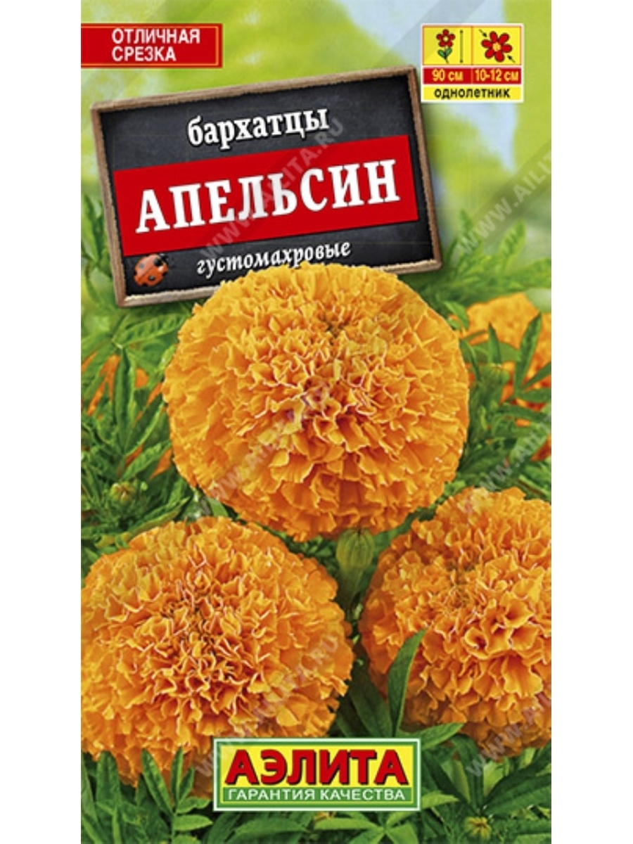 Бархатцы семена