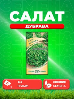 Салат листовой дубрава фото