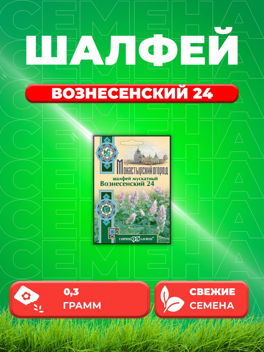 Шалфей мускатный вознесенский 24 фото и описание