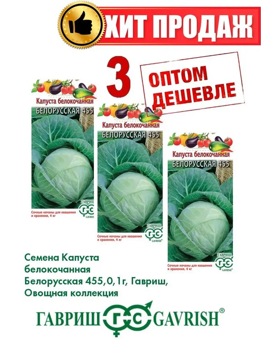 Капуста белорусская описание. Капуста белорусская отзывы. Капуста белорусская 455 на грядке. Капуста белорусская 455 описание сорта крупная розетка.