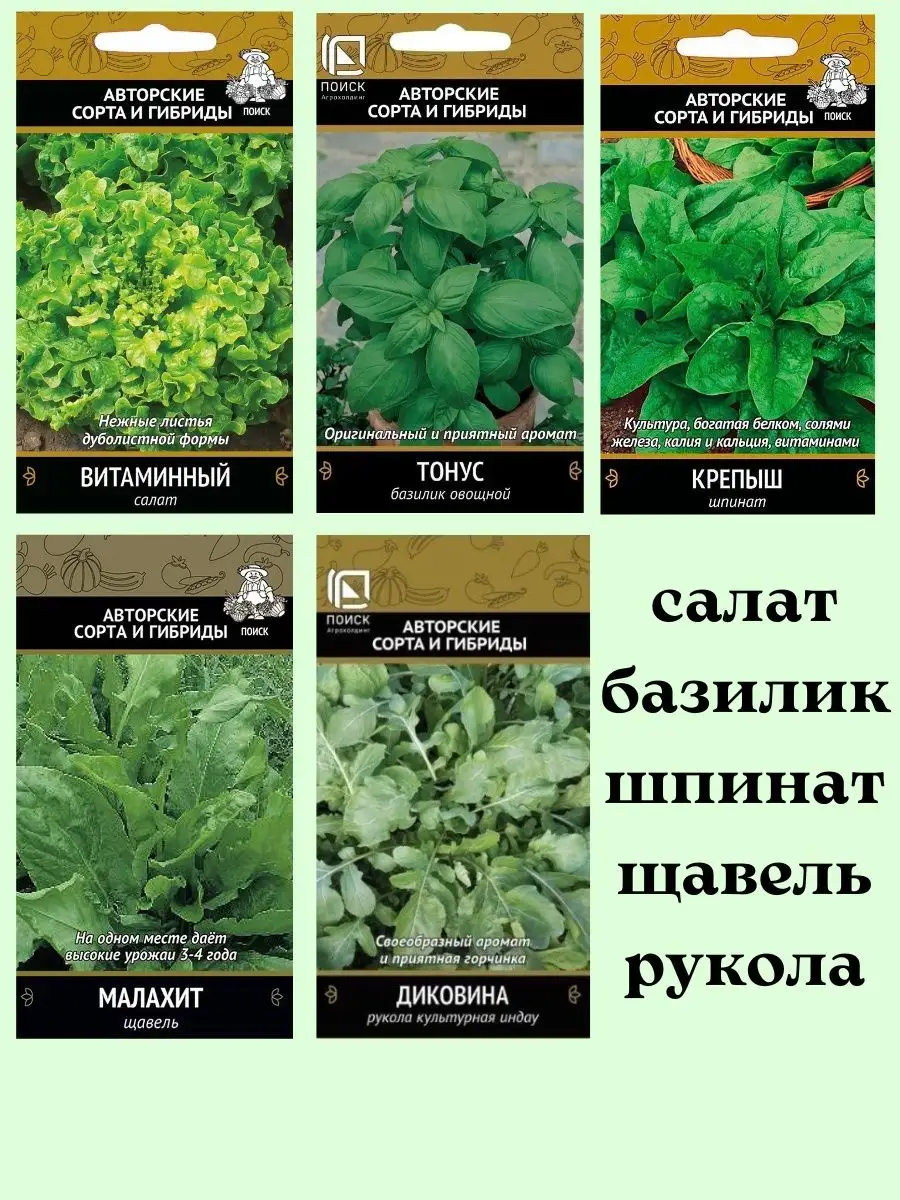 Семена зелени, салатная зелень Агрохолдинг Поиск 66181292 купить за 171 ₽ винтернет-магазине Wildberries