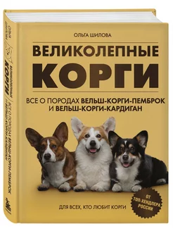 Великолепные корги. Все о породах вельш-корги-пемброк и вел