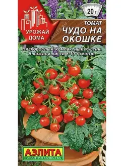 Томат Чудо на окошке, 2 пакета