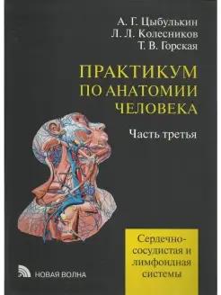 Практикум по анатомии человека учебное