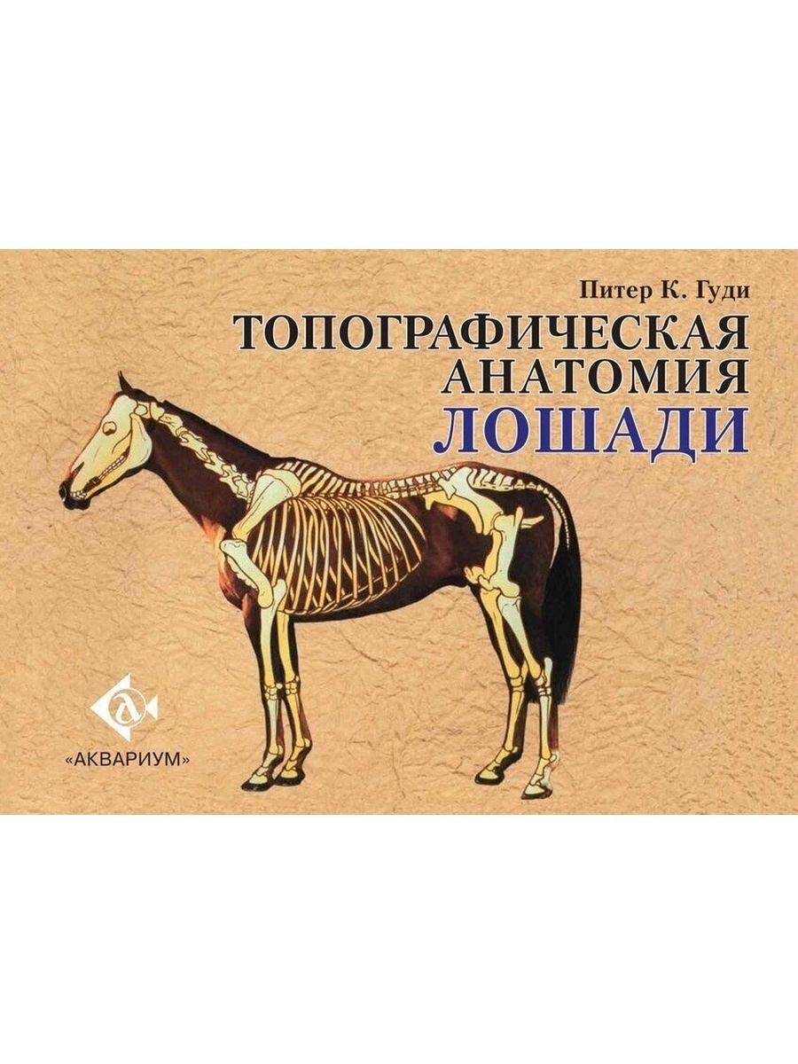 Топографическая анатомия лошади - Питер Гуди. Топографическая анатомия лошади. Анатомия лошади книга. Анатомия лошади Зеленевский.