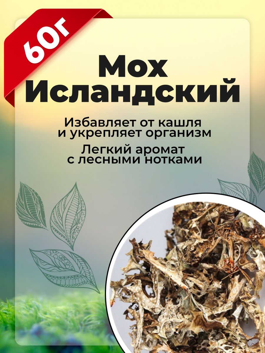 Исландский мох от кашля