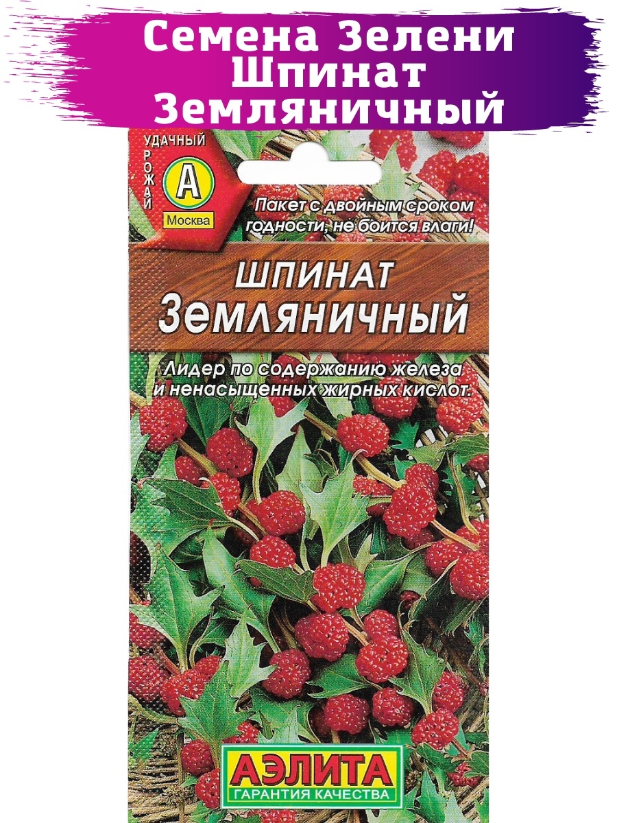 Земляничный шпинат картинки