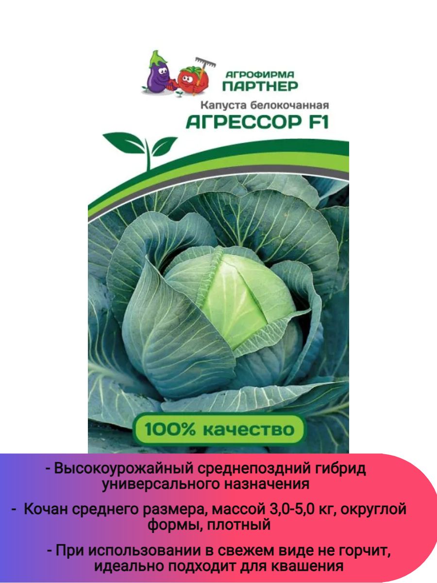 Капуста Агрессор. Капуста Агрессор схема посадки. Семена капуста б/к Агрессор f1.