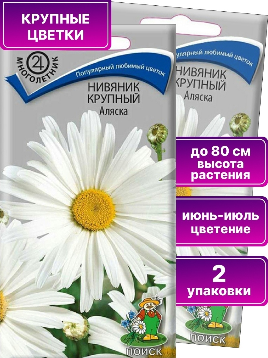 Семена нивяник крупный, Аляска, поиск, цв.пак, 0.5г