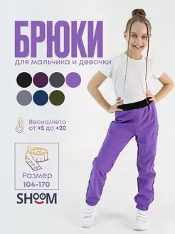 Брюки утепленные софтшелл